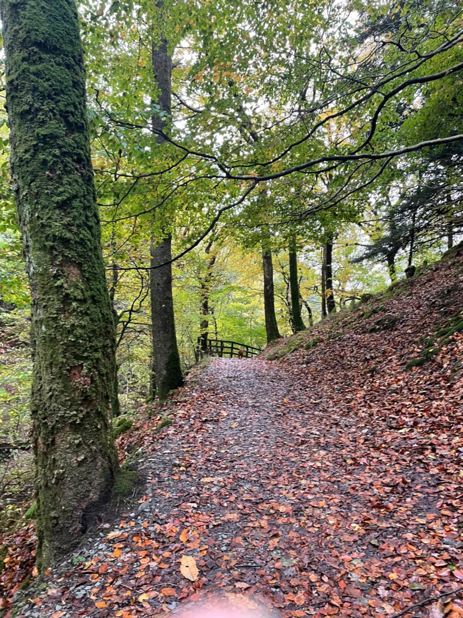 Grizedale View Leilighet Coniston Eksteriør bilde