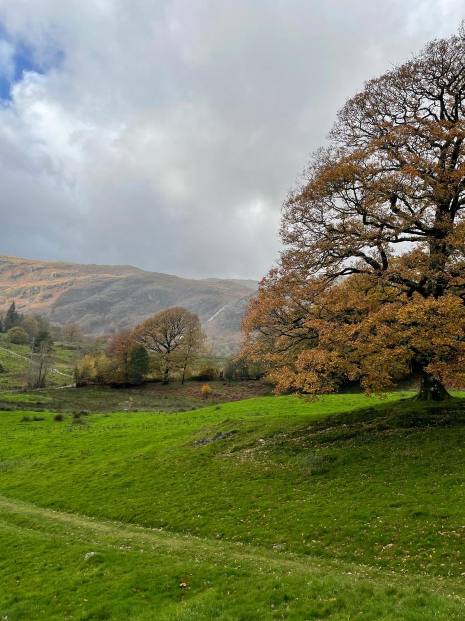 Grizedale View Leilighet Coniston Eksteriør bilde